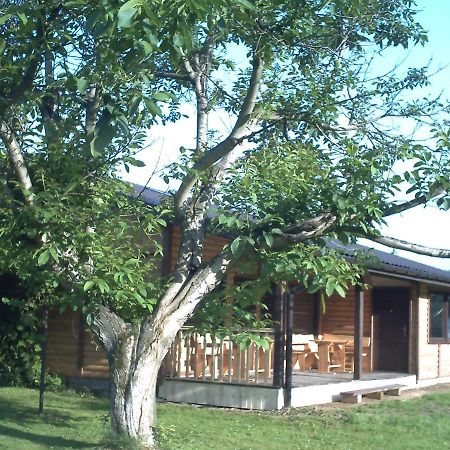 Willa Pod Orzechem Sanok Zewnętrze zdjęcie